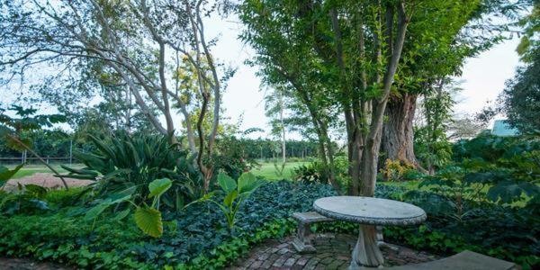 Lupus Den Country House B&B Sunland Bagian luar foto